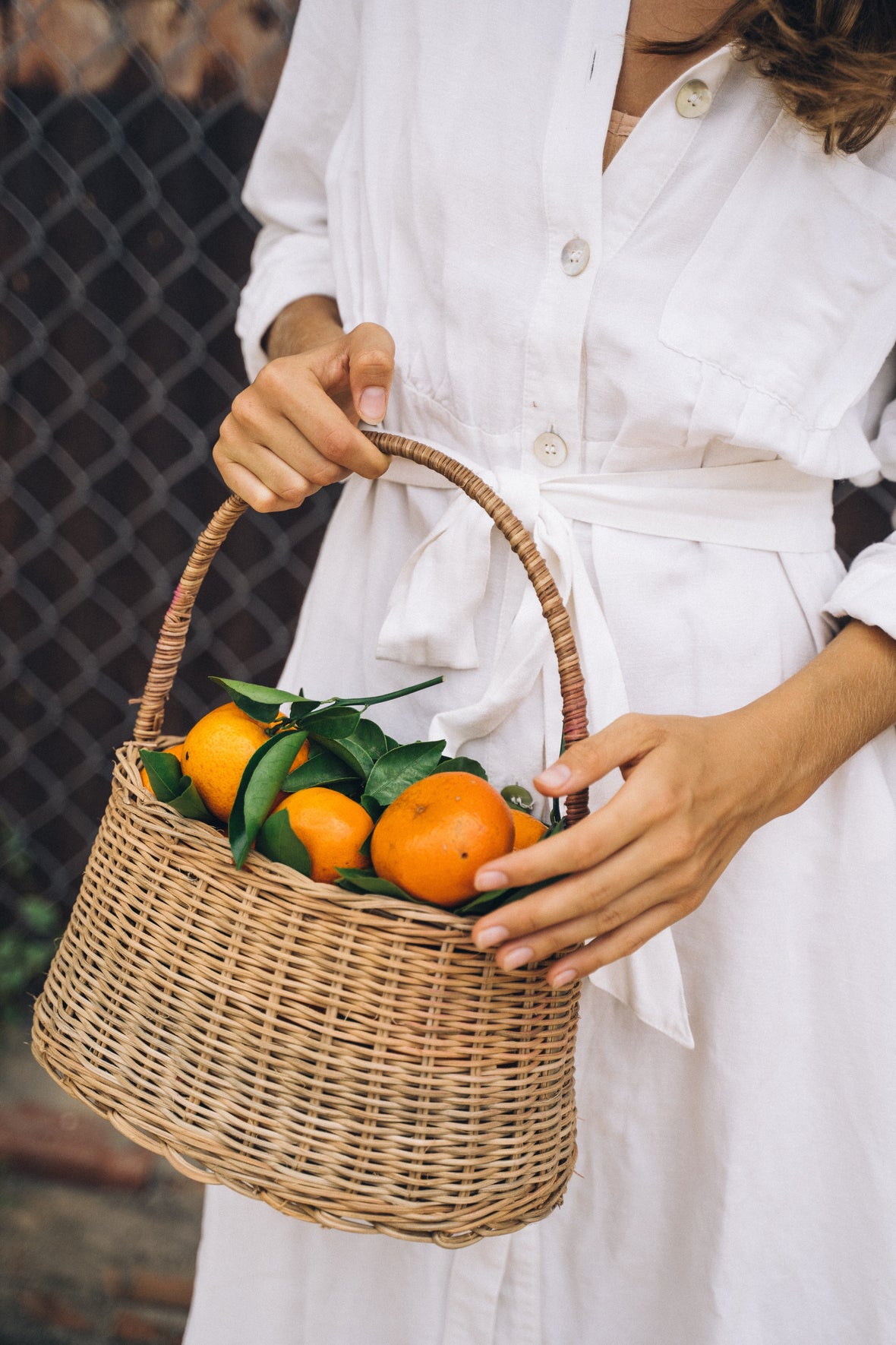Nutritional Value of Florida Oranges