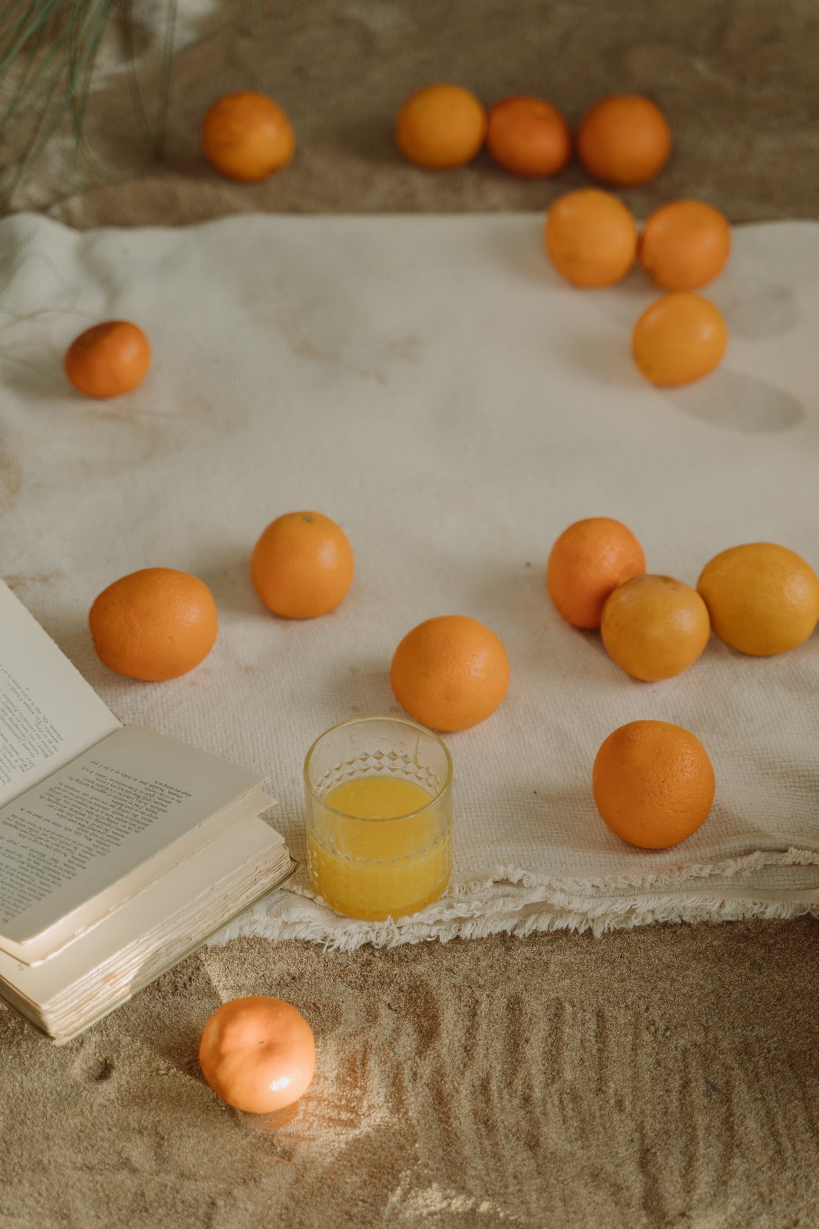 Citrus Research and Development in Florida