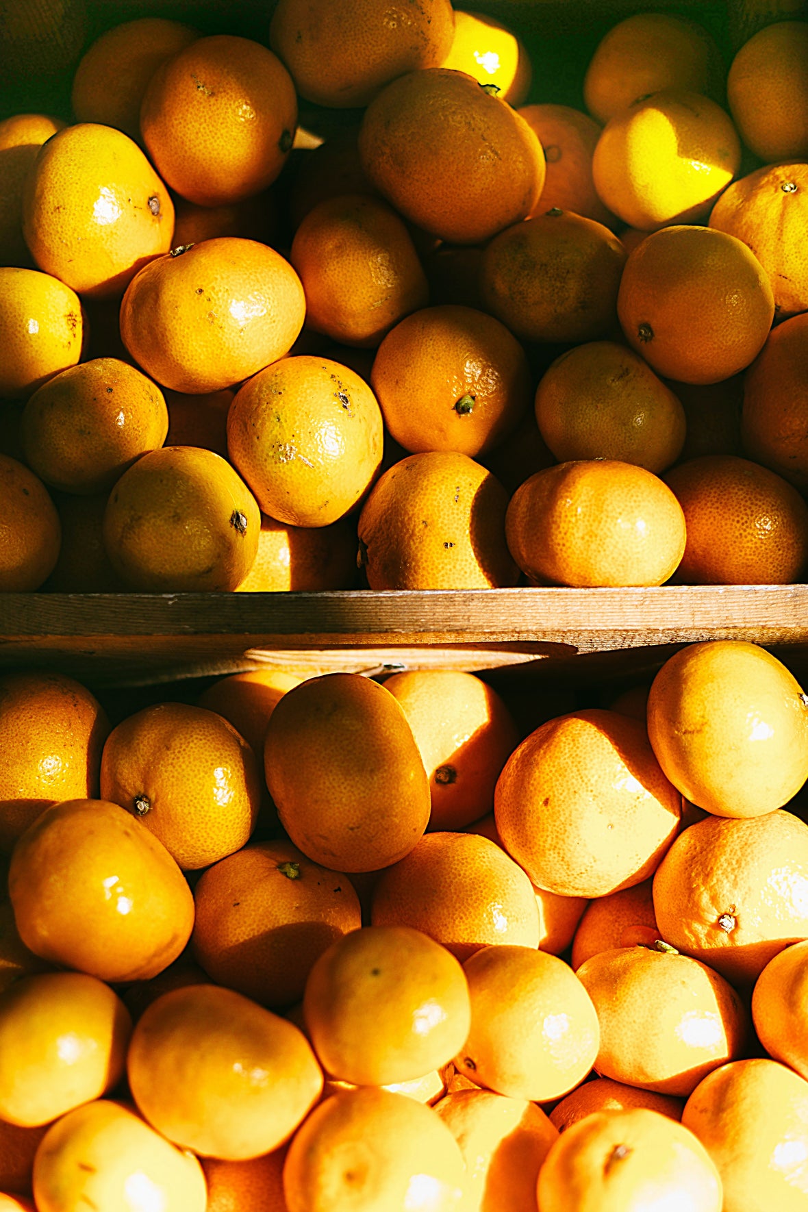 Florida Orange Industry Economics