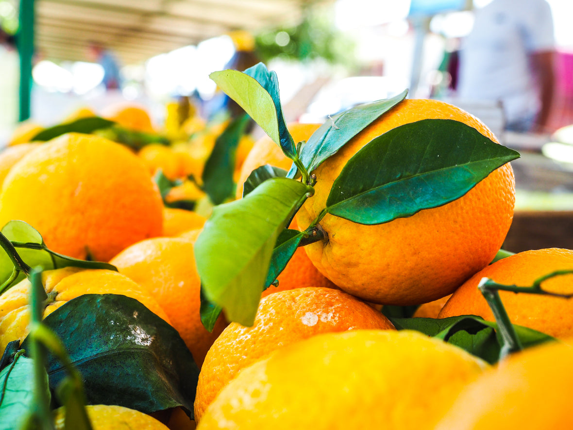 Citrus Advertising and Promotion in Florida