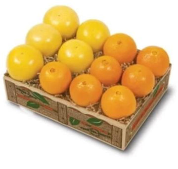 Navels & Marsh White Grapefruit
