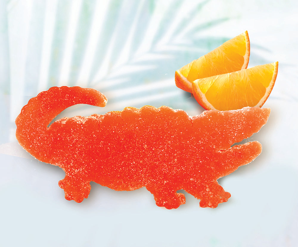 JJEL1-OrangeJellyAlligator