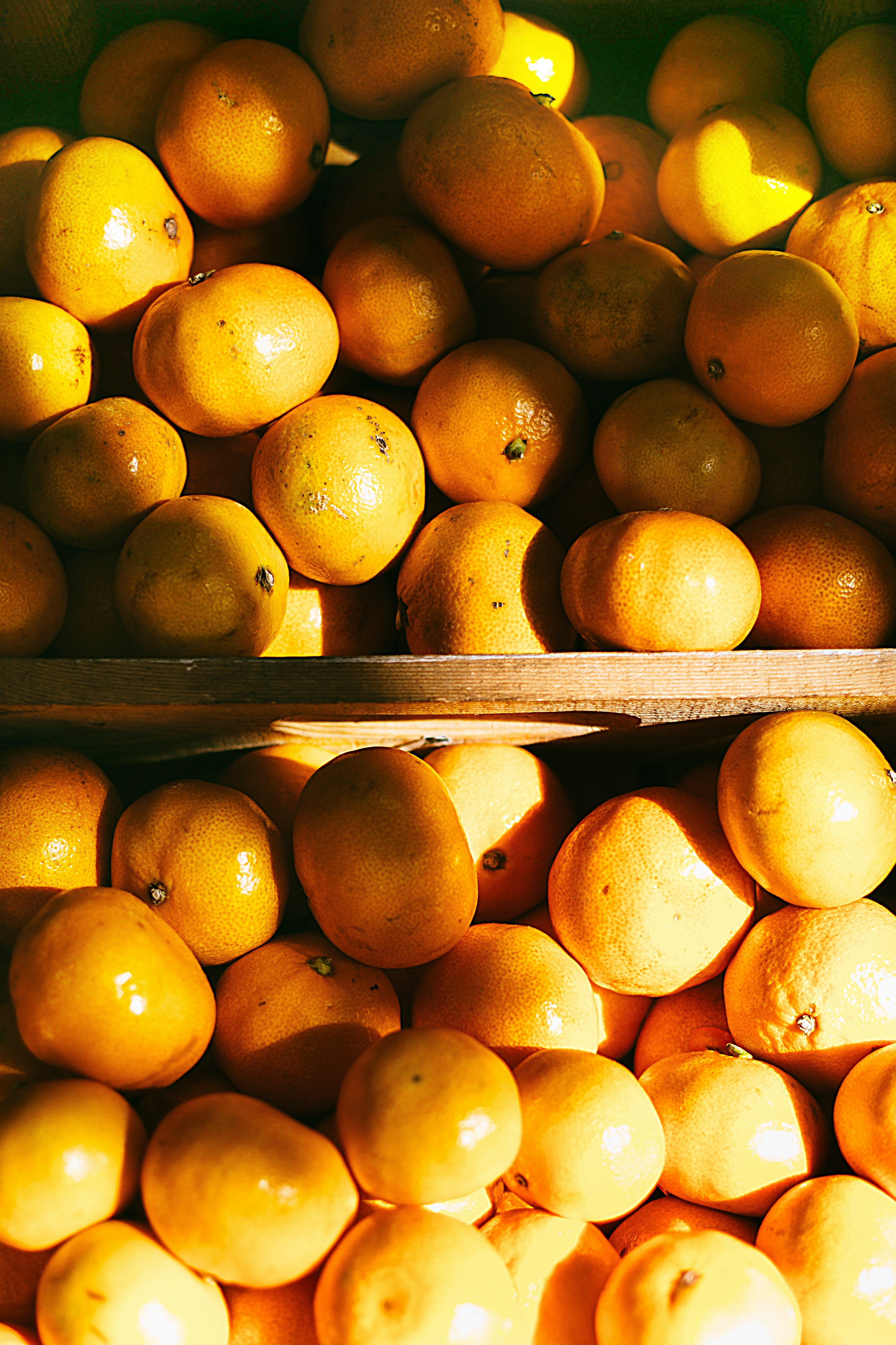 The Future of Florida's Citrus Industry