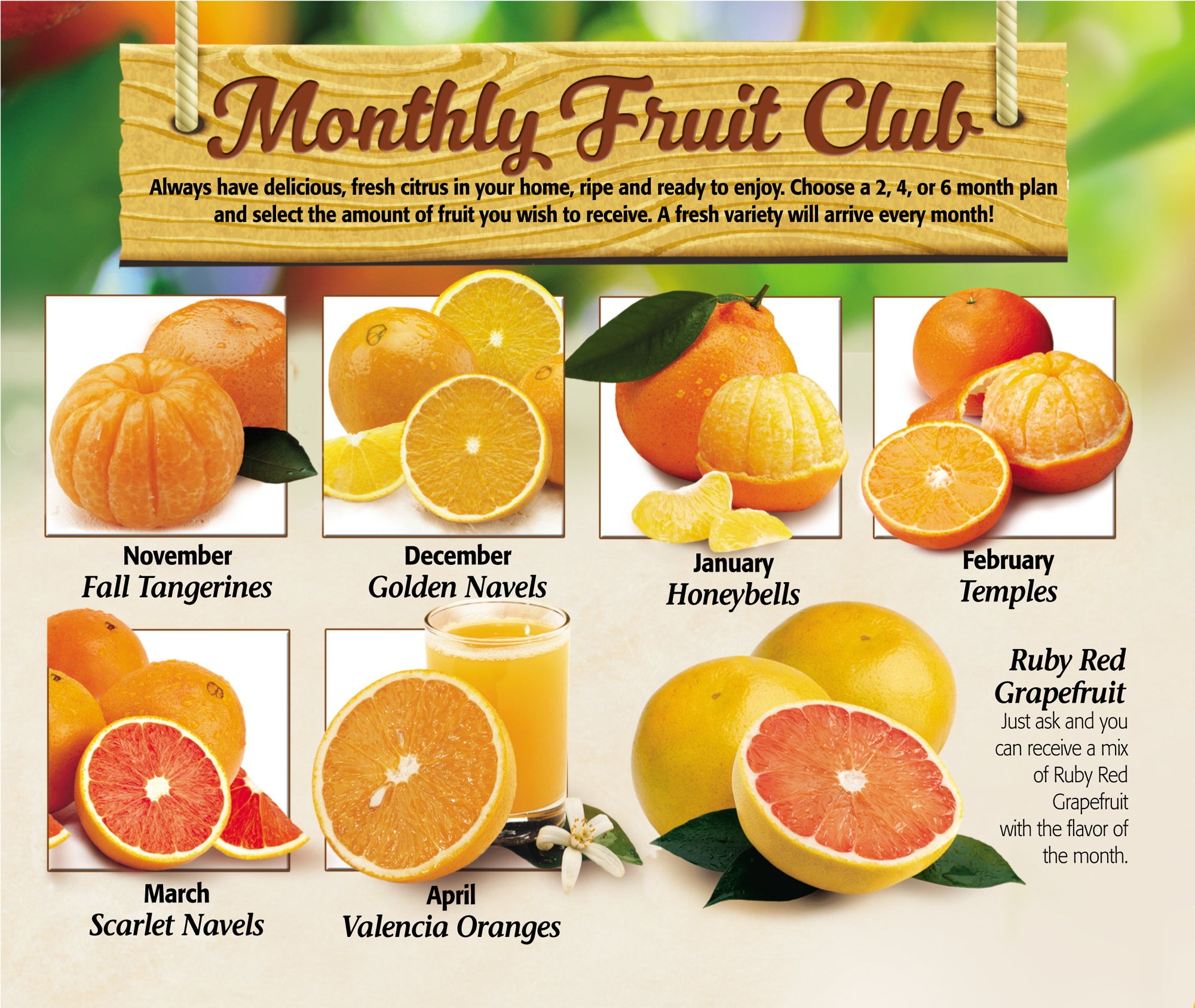 Monthly Fruit Club Plans