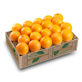 Petite Sweet Valencias