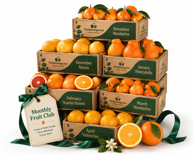 Monthly Fruit Club with six shipments of fresh Florida citrus including mandarins, Honeybells, Navels, and Valencias