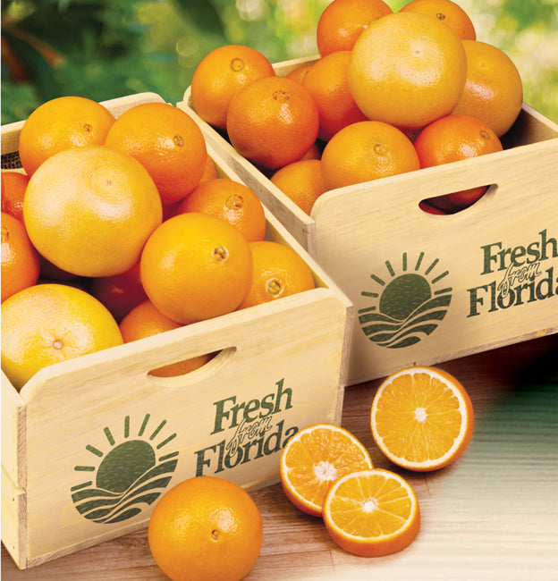 Fresh-From-the-Grove Florida Citrus