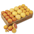 Honeybell Grand Slam Deluxe-1