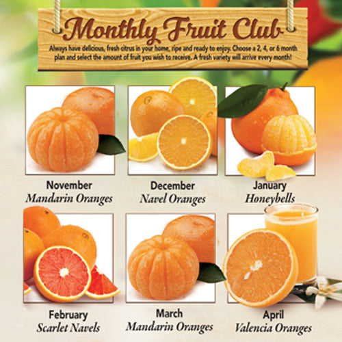 6 Month Club Plan | FloridaOrange®