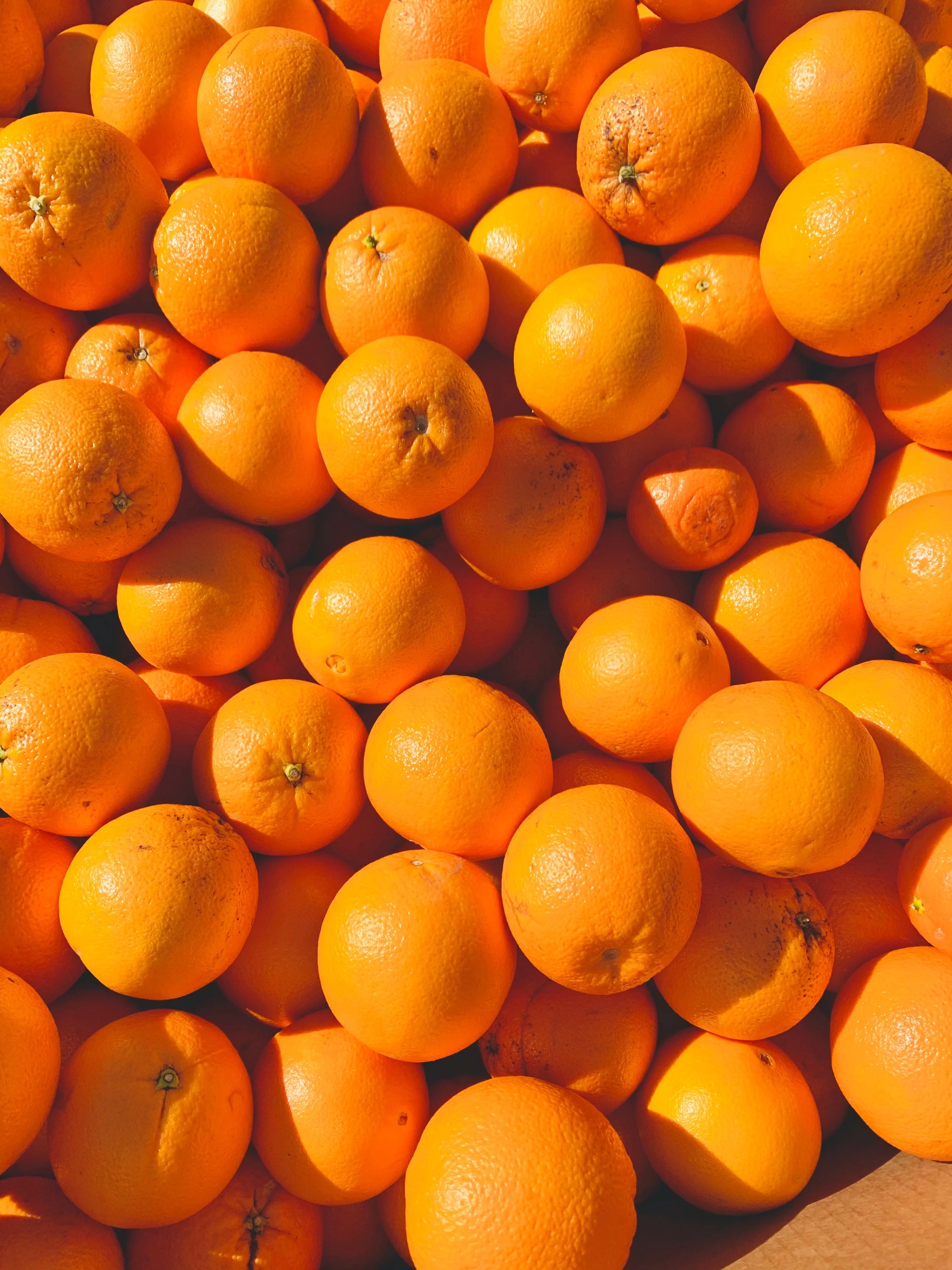 Florida Oranges