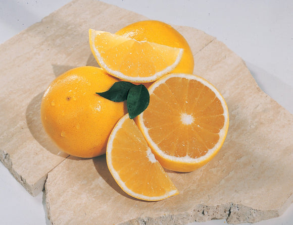 Ruby Red Grapefruit & White Grapefruit