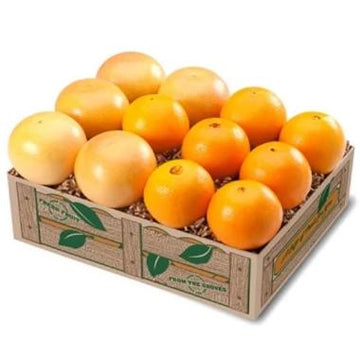 Valencia Oranges & Ruby Red Grapefruit