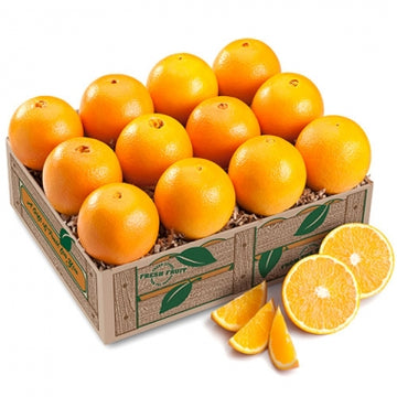 Valencia Oranges