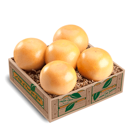 Red Grapefruit Taster