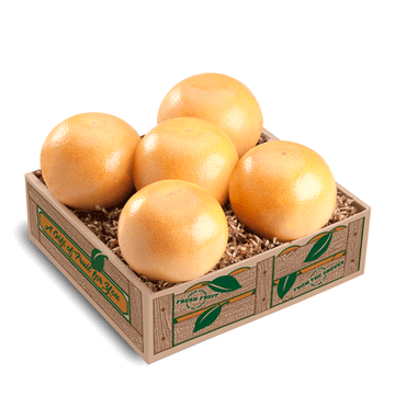 Red Grapefruit Taster