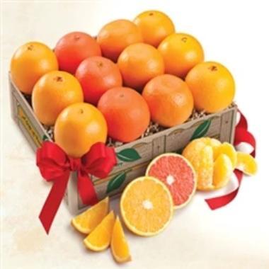 Florida Navels, Scarlet Navels, Tangerines, Mandarins