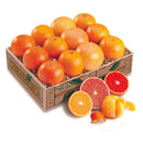 Sun Kissed Sampler Honeybell Deluxe-1