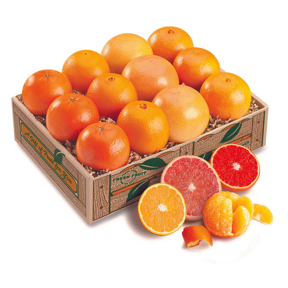 Sun Kissed Sampler Honeybell Deluxe