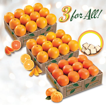 3 For All Florida citrus gift with Navel oranges, Scarlet Navels, Mandarin oranges, and coconut patties