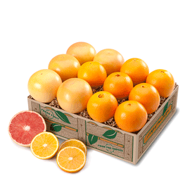 Fresh Florida Navel oranges and Scarlet Navel oranges