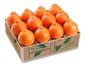 Fresh Florida Honeybells in a wooden gift crate