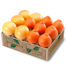 Honeybells & Grapefruit Deluxe-1