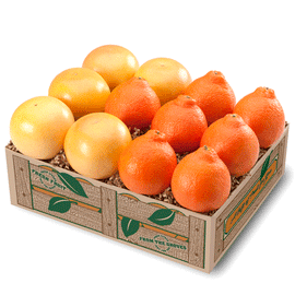 Premium Florida Honeybells and Ruby Red grapefruit