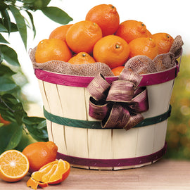 Premium Florida Honeybells in signature grove basket