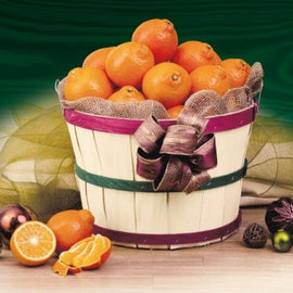 Premium Florida Honeybells in signature grove basket