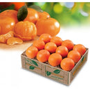 Mandarin Oranges
