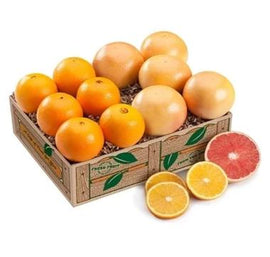 Florida citrus gift with navel oranges and Ruby Red grapefruit