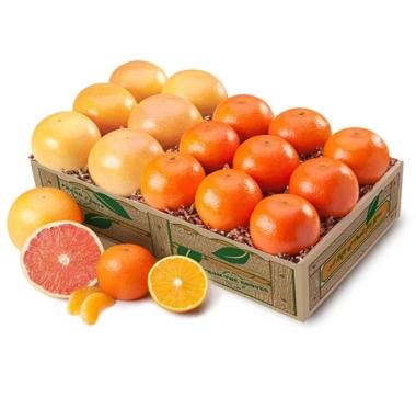 Deluxe Satsuma oranges and Ruby Red grapefruit gift with handcrafted Florida marmalade and coconut patties