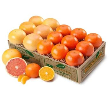 Deluxe Satsuma oranges and Ruby Red grapefruit gift with handcrafted Florida marmalade and coconut patties